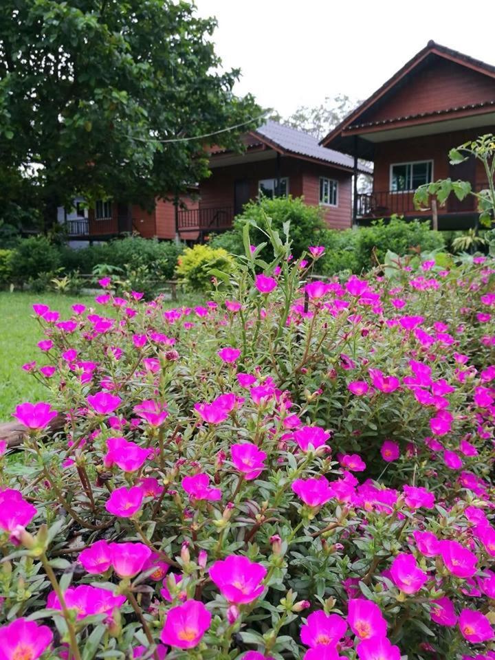 Pasanchai Bungalow Ванг Виенг Екстериор снимка